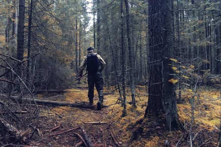 Купить диплом Егеря, лесника в Ессентуках