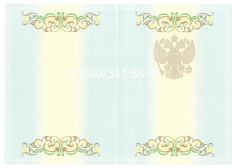 Купить Диплом бакалавра 2012-2013 годов в Ессентуках