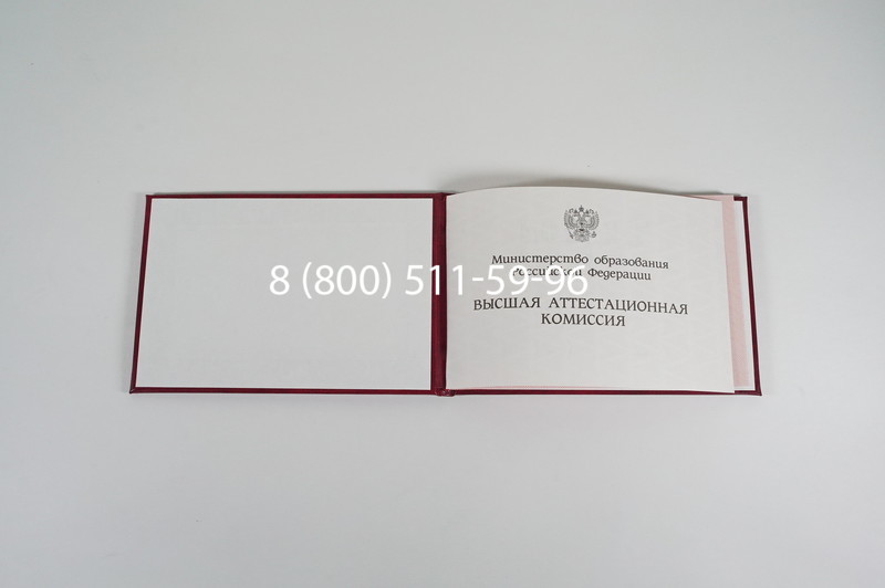 Диплом доктора наук 1995-2006 года в Ессентуках Диплом доктора наук 1995-2006 года в Ессентуках
