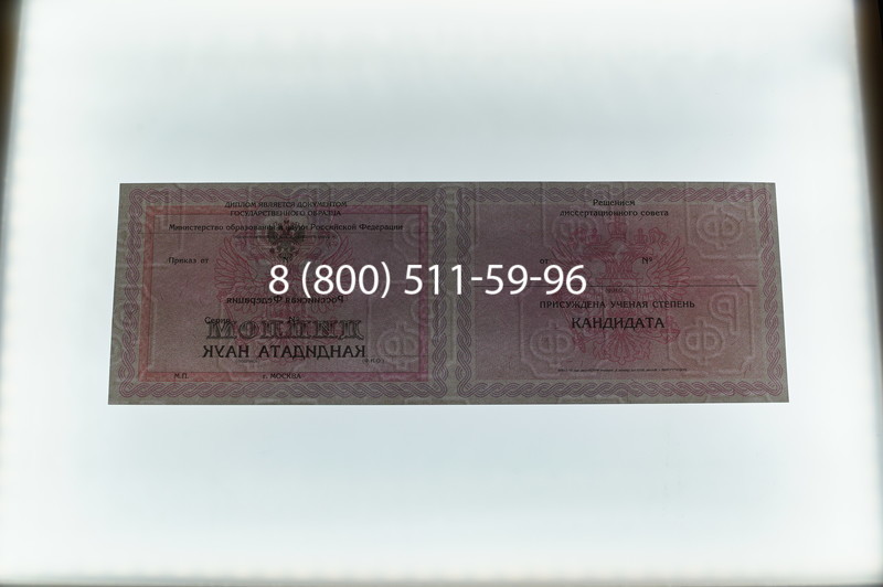 Заказать Диплом кандидата наук 2010 в Ессентуках
