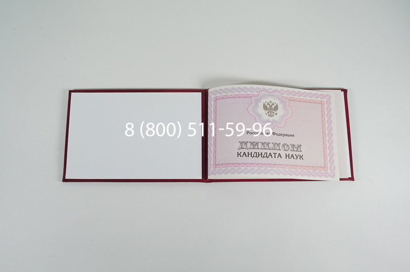 Заказать Диплом кандидата наук 2010 в Ессентуках