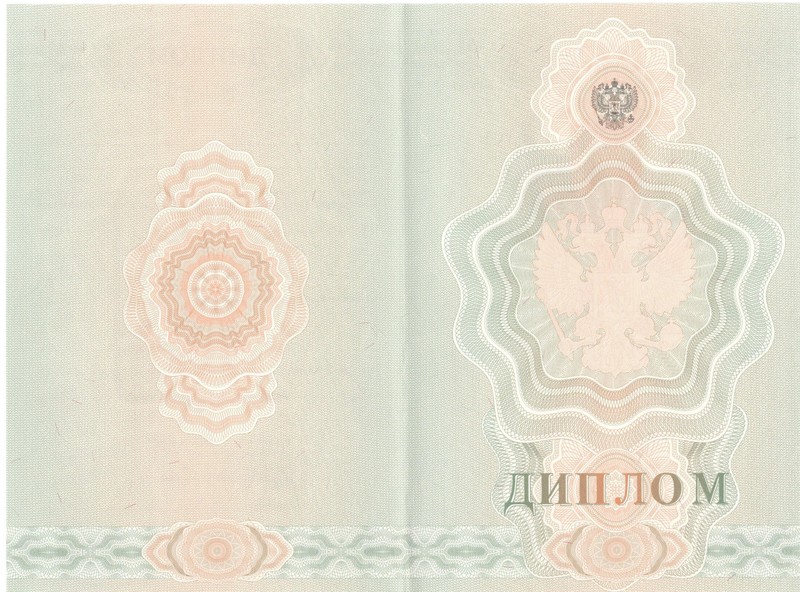 Купить Диплом о начальном образовании  2007-2009 годов в Ессентуках