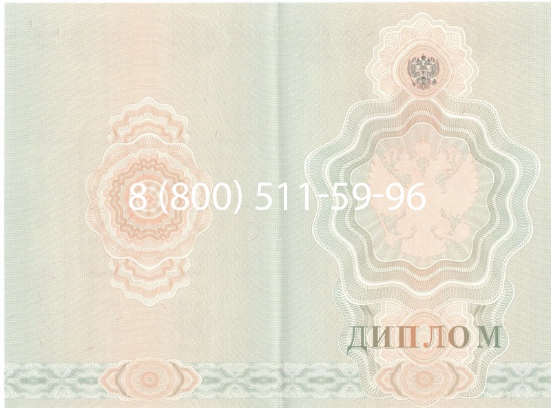 Купить Диплом ПТУ 2007-2010 годов в Ессентуках