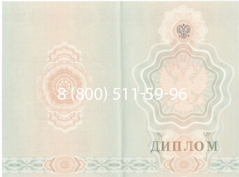 Купить Диплом училища 2007-2009 годов в Ессентуках Купить Диплом училища 2007-2009 годов в Ессентуках